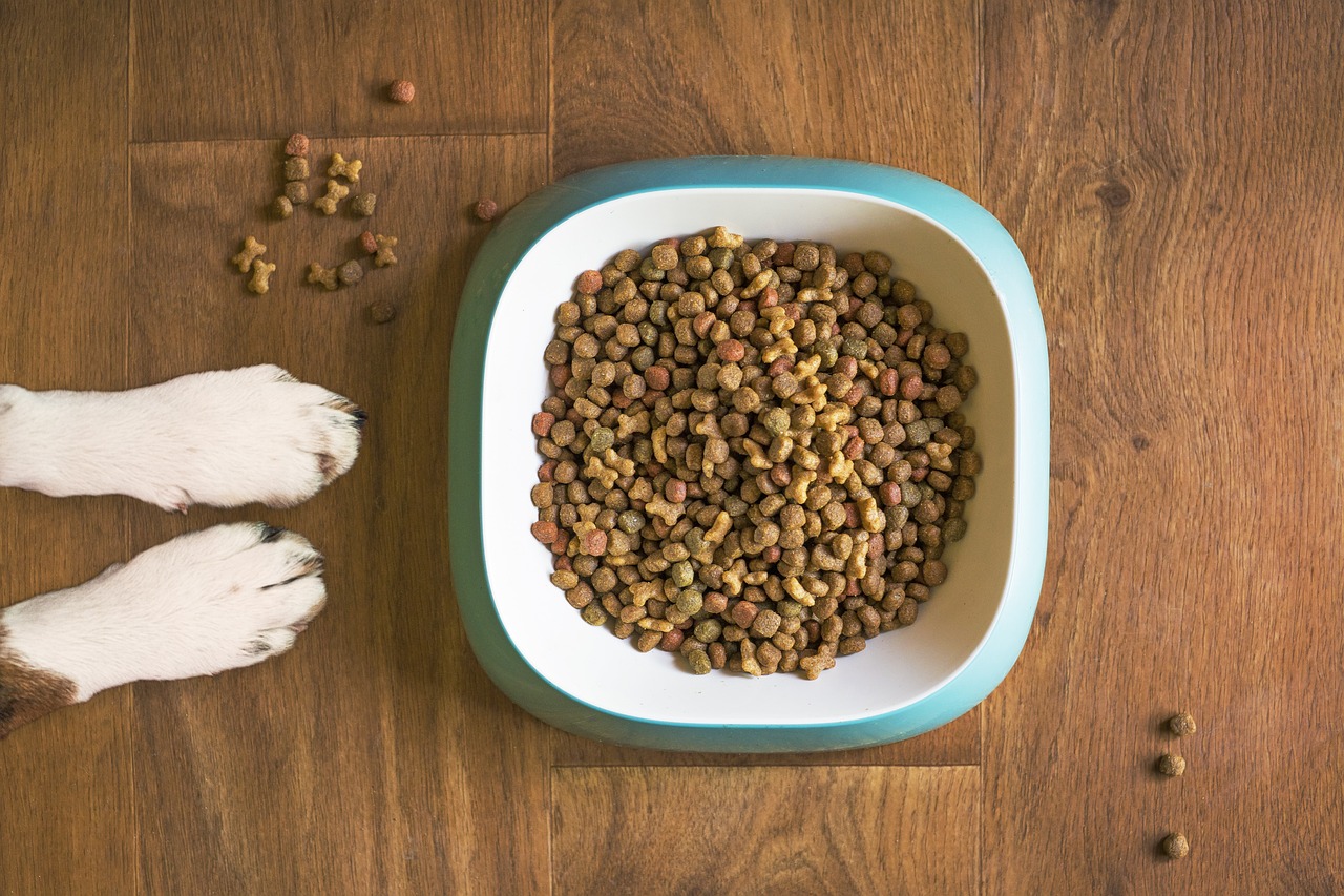 dog-food-5168940_1280